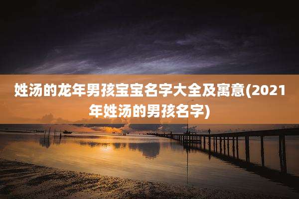 姓汤的龙年男孩宝宝名字大全及寓意(2021年姓汤的男孩名字)