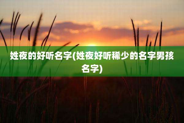 姓夜的好听名字(姓夜好听稀少的名字男孩名字)