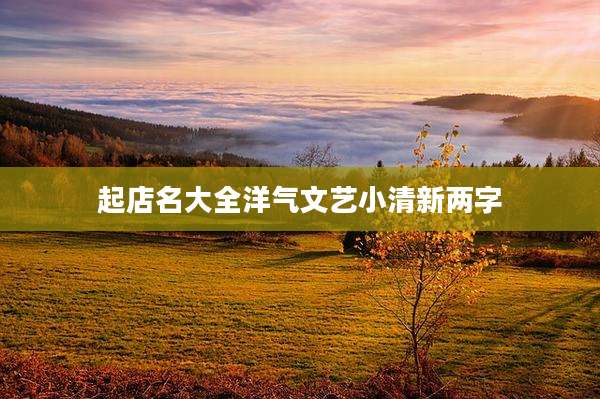 起店名大全洋气文艺小清新两字
