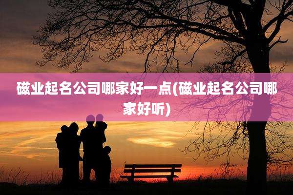 磁业起名公司哪家好一点(磁业起名公司哪家好听)