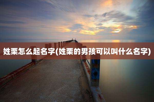 姓栗怎么起名字(姓栗的男孩可以叫什么名字)