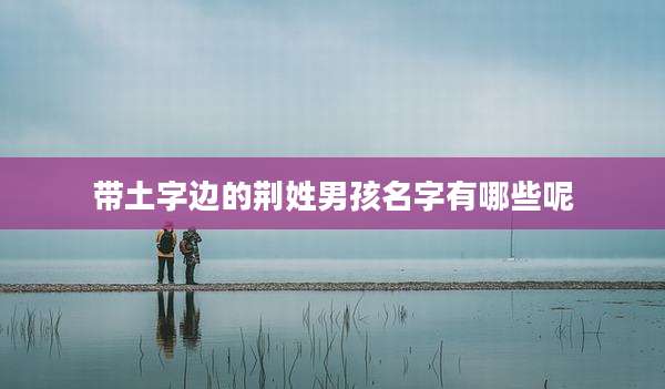 带土字边的荆姓男孩名字有哪些呢