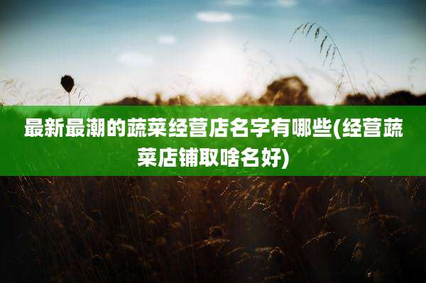 最新最潮的蔬菜经营店名字有哪些(经营蔬菜店铺取啥名好)