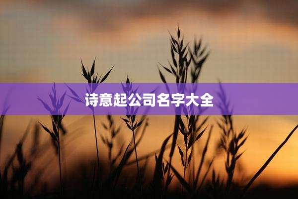 诗意起公司名字大全
