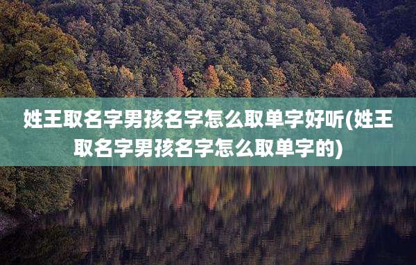 姓王取名字男孩名字怎么取单字好听(姓王取名字男孩名字怎么取单字的)