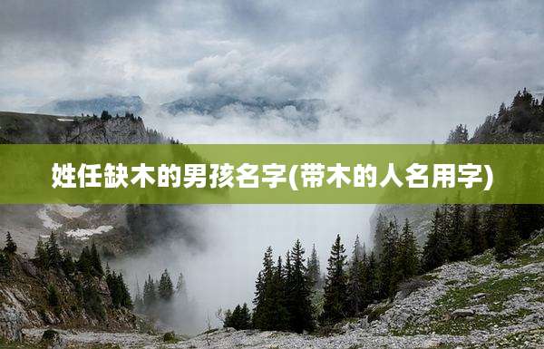 姓任缺木的男孩名字(带木的人名用字)