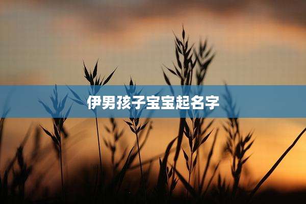 伊男孩子宝宝起名字