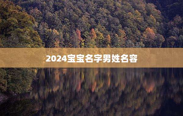 2024宝宝名字男姓名容
