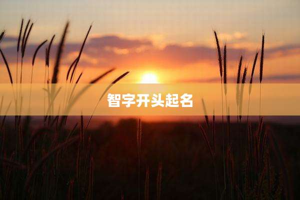 智字开头起名