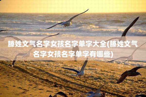 滕姓文气名字女孩名字单字大全(滕姓文气名字女孩名字单字有哪些)