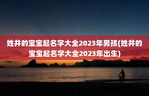 姓井的宝宝起名字大全2023年男孩(姓井的宝宝起名字大全2023年出生)