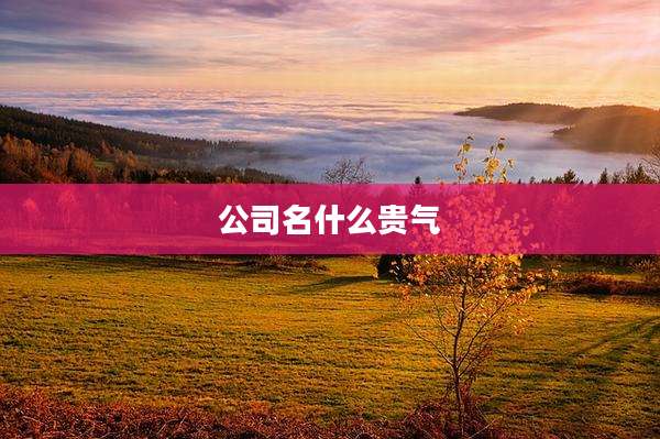 公司名什么贵气