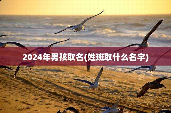 2024年男孩取名(姓班取什么名字)