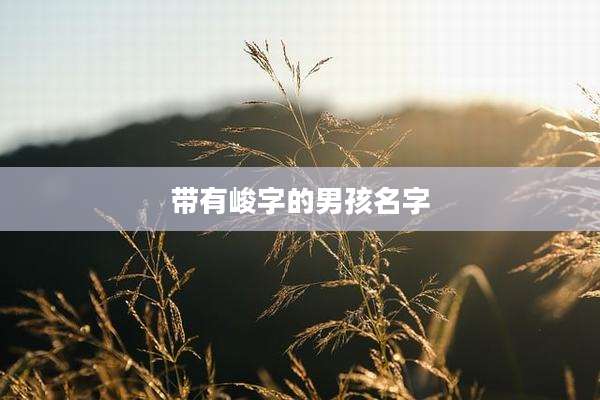 带有峻字的男孩名字
