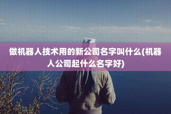 做机器人技术用的新公司名字叫什么(机器人公司起什么名字好)