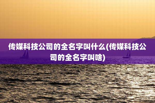 传媒科技公司的全名字叫什么(传媒科技公司的全名字叫啥)