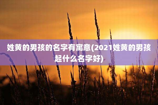 姓黄的男孩的名字有寓意(2021姓黄的男孩起什么名字好)
