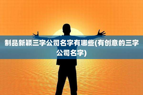 制品新颖三字公司名字有哪些(有创意的三字公司名字)