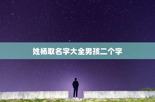 姓杨取名字大全男孩二个字