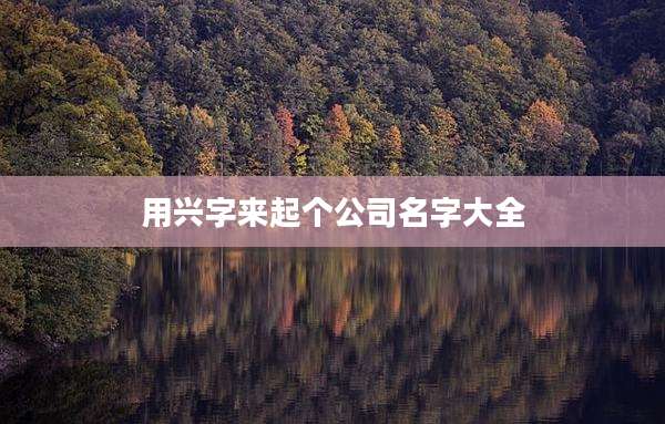 用兴字来起个公司名字大全