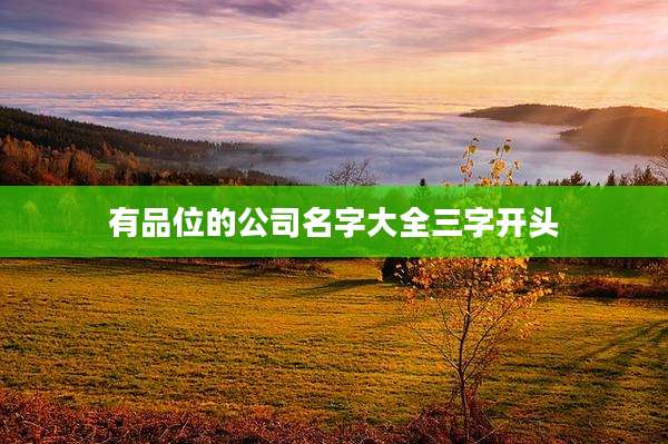 有品位的公司名字大全三字开头