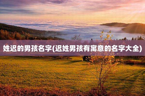 姓迟的男孩名字(迟姓男孩有寓意的名字大全)