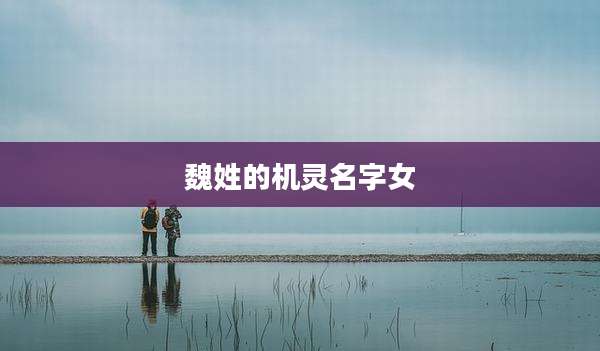 魏姓的机灵名字女