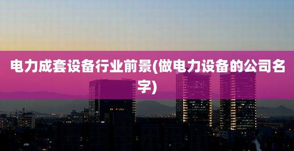 电力成套设备行业前景(做电力设备的公司名字)