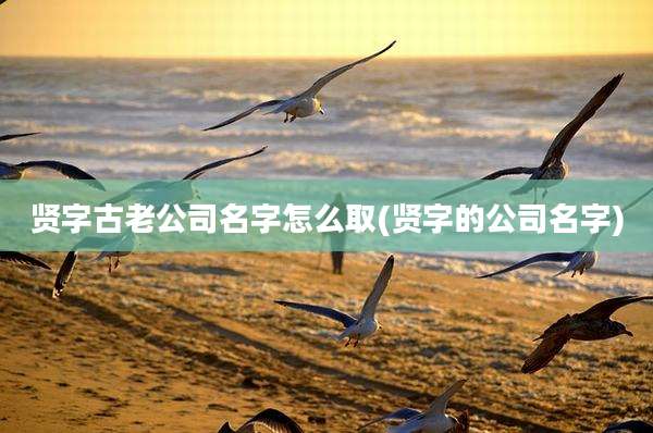 贤字古老公司名字怎么取(贤字的公司名字)