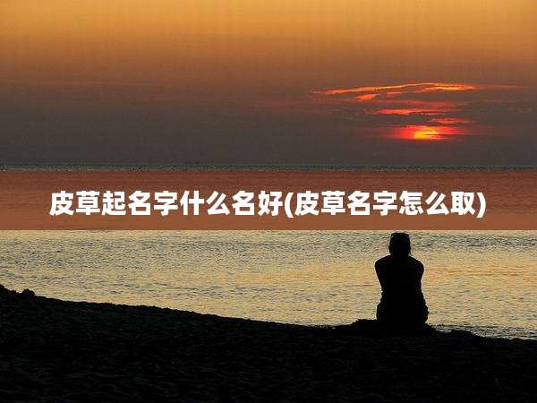 皮草起名字什么名好(皮草名字怎么取)