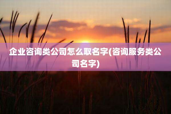 企业咨询类公司怎么取名字(咨询服务类公司名字)