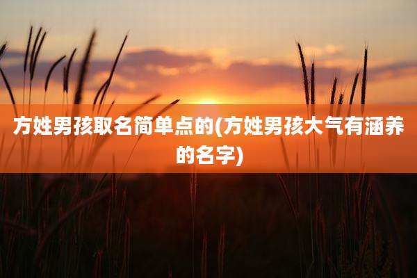 方姓男孩取名简单点的(方姓男孩大气有涵养的名字)
