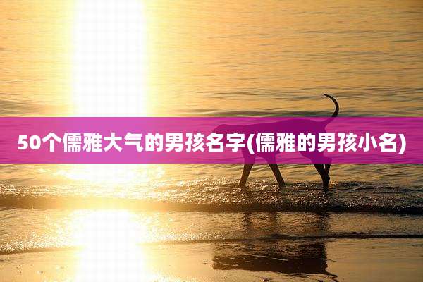 50个儒雅大气的男孩名字(儒雅的男孩小名)