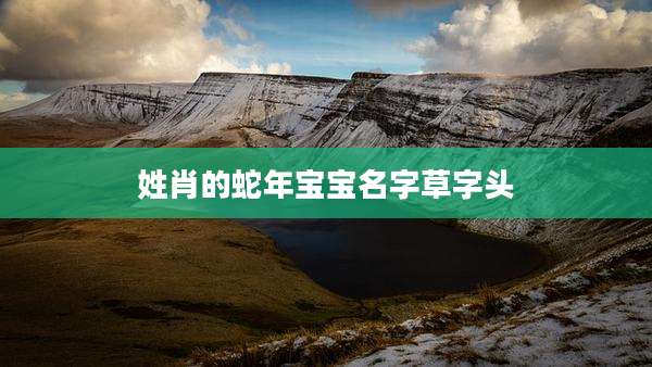 姓肖的蛇年宝宝名字草字头
