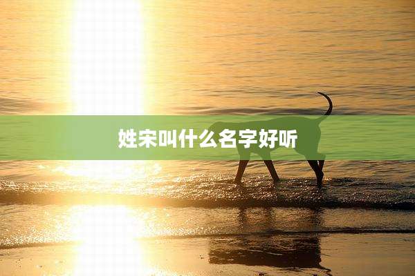 姓宋叫什么名字好听