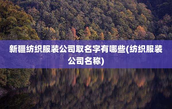新疆纺织服装公司取名字有哪些(纺织服装公司名称)