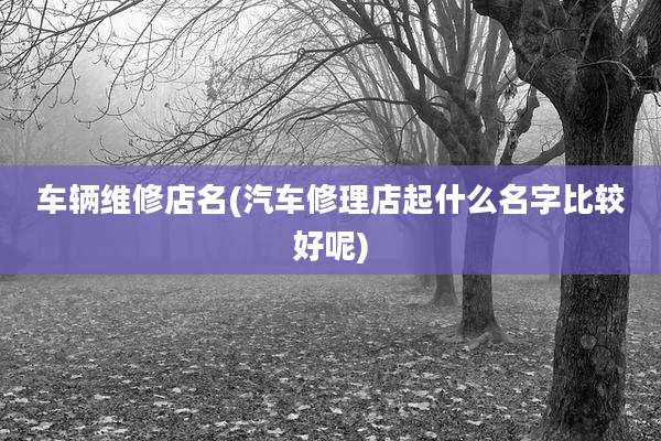 车辆维修店名(汽车修理店起什么名字比较好呢)