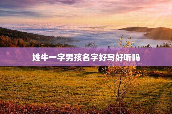 姓牛一字男孩名字好写好听吗