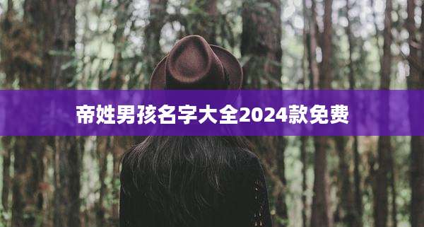 帝姓男孩名字大全2024款免费