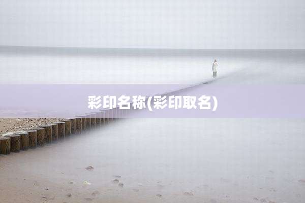 彩印名称(彩印取名)