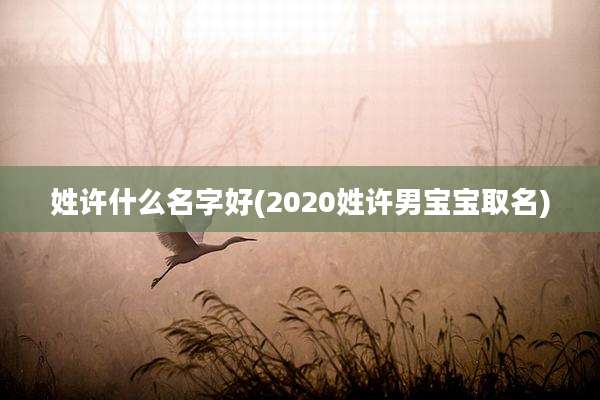 姓许什么名字好(2020姓许男宝宝取名)