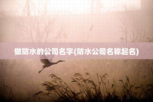 做防水的公司名字(防水公司名称起名)