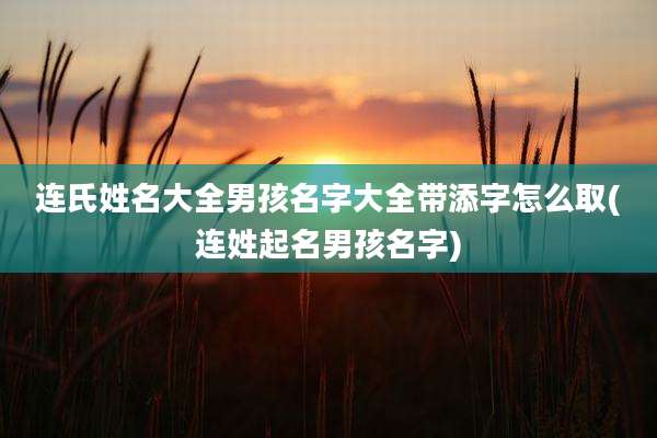 连氏姓名大全男孩名字大全带添字怎么取(连姓起名男孩名字)