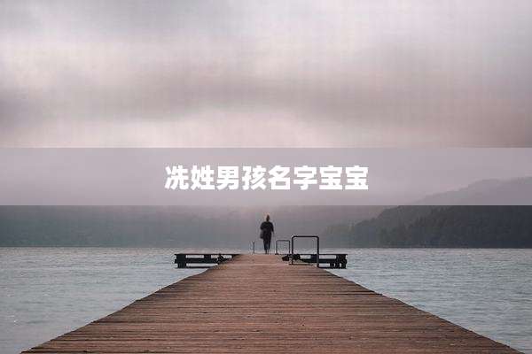 冼姓男孩名字宝宝