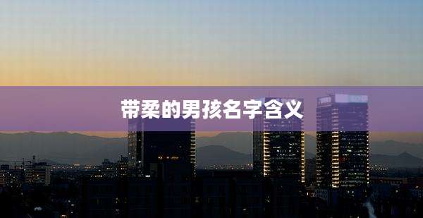 带柔的男孩名字含义