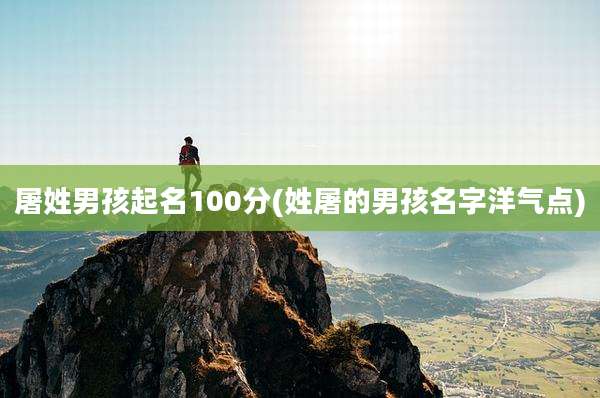 屠姓男孩起名100分(姓屠的男孩名字洋气点)