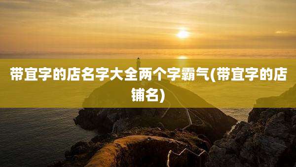 带宜字的店名字大全两个字霸气(带宜字的店铺名)