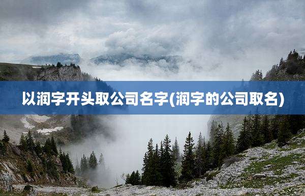 以润字开头取公司名字(润字的公司取名)
