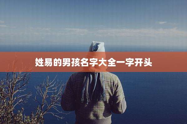 姓易的男孩名字大全一字开头
