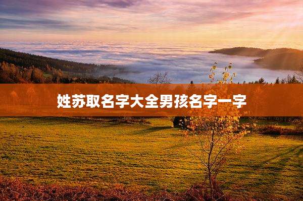 姓苏取名字大全男孩名字一字